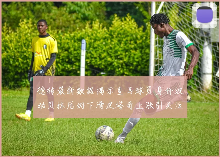 德转最新数据揭示皇马球员身价波动贝林厄姆下滑皮塔奇上涨引关注
