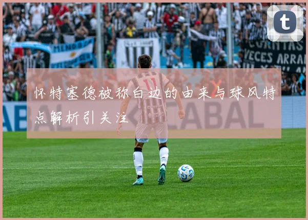怀特塞德被称白边的由来与球风特点解析引关注